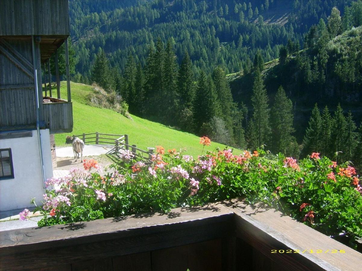 Farm stay Ferienwohnungen-lippenhof
