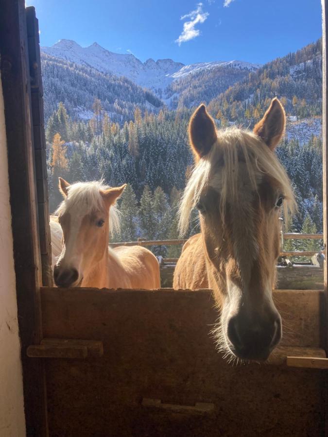 Farm stay Ferienwohnungen-lippenhof Sankt Jakob in Defereggen